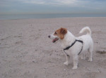 Mooie foto op het strand